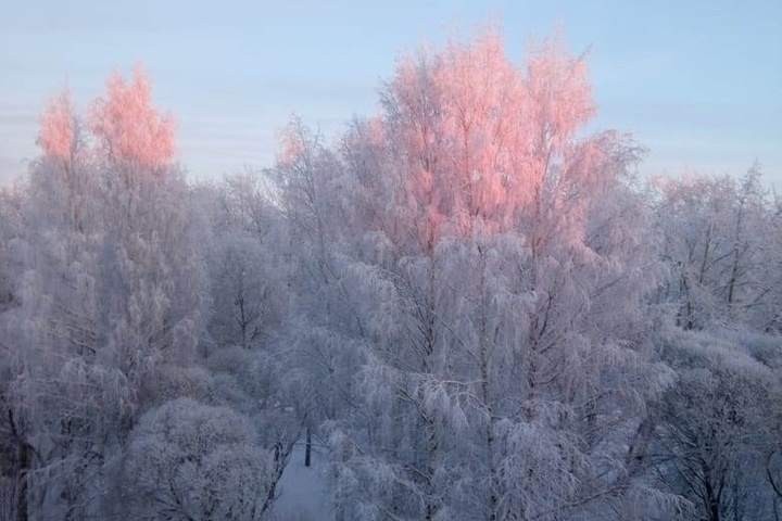 Подслушано в сегеже