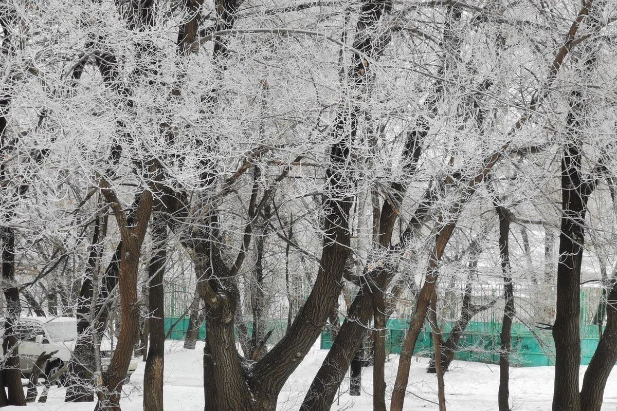 Прогноз погоды хабаровск