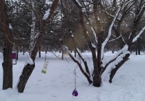 Температурные качели продолжают испытывать жителей Новосибирска уже неделю