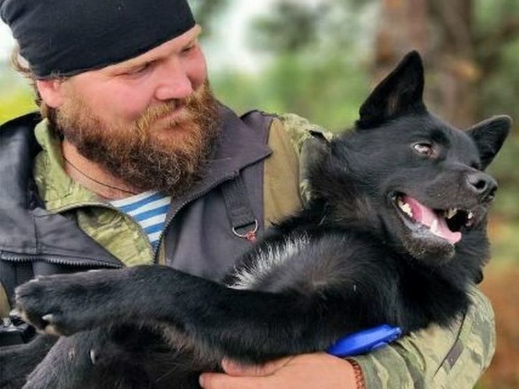 Слышит звук беспилотника на высоте пять километров