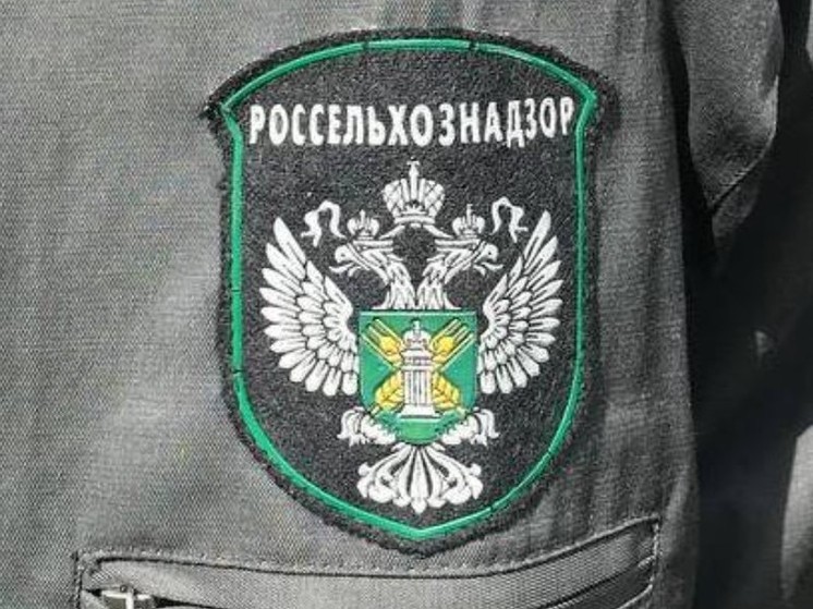В 2023 году на Новгородчину было ввезено более 144 тысяч тонн кормовой продукции
