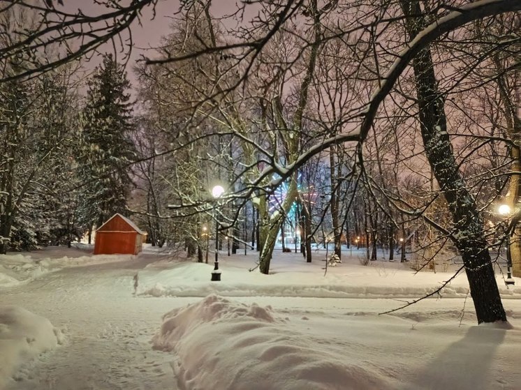 Пензенцев пригласили на дискотеку в парк «Белинского»
