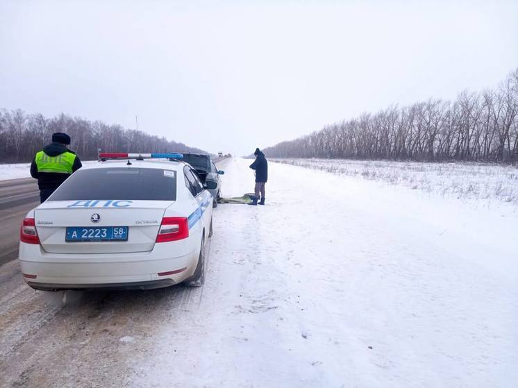 Госавтоинспекторы помогли жителю Пензенской области, который сломался на трассе