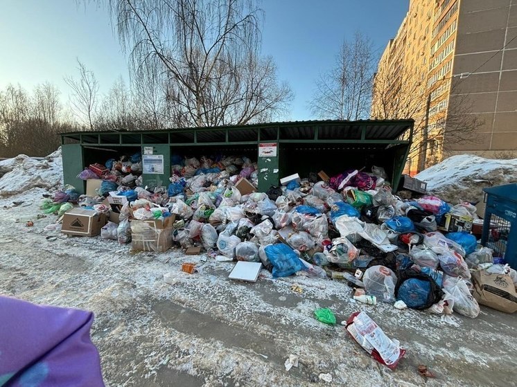 Жители Лобни поймали мусоровоз и сами загрузили в него навалы отходов