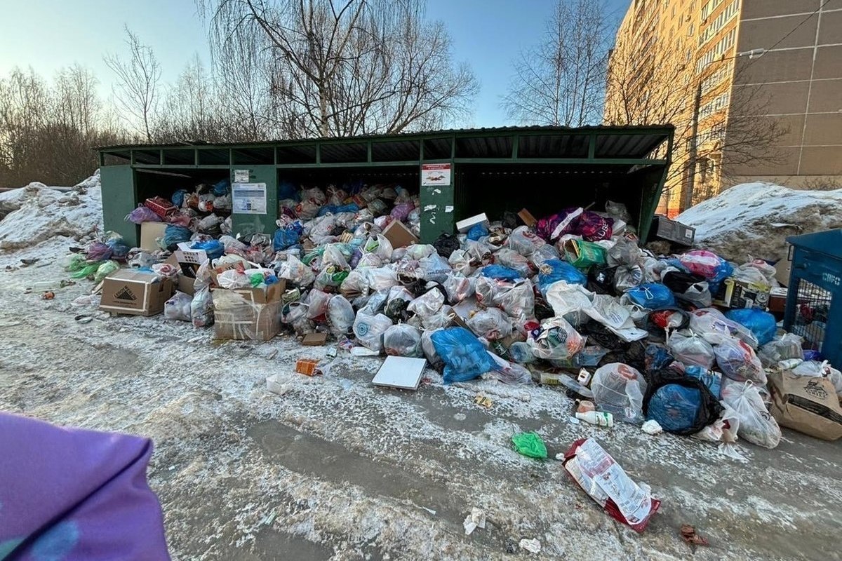 Жители Лобни поймали мусоровоз и сами загрузили в него навалы отходов - МК  Московская область