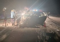 Четыре человека стали жертвами страшного ДТП вечером 7 ноября в Новосибирской области при лобовом столкновении двух иномарок