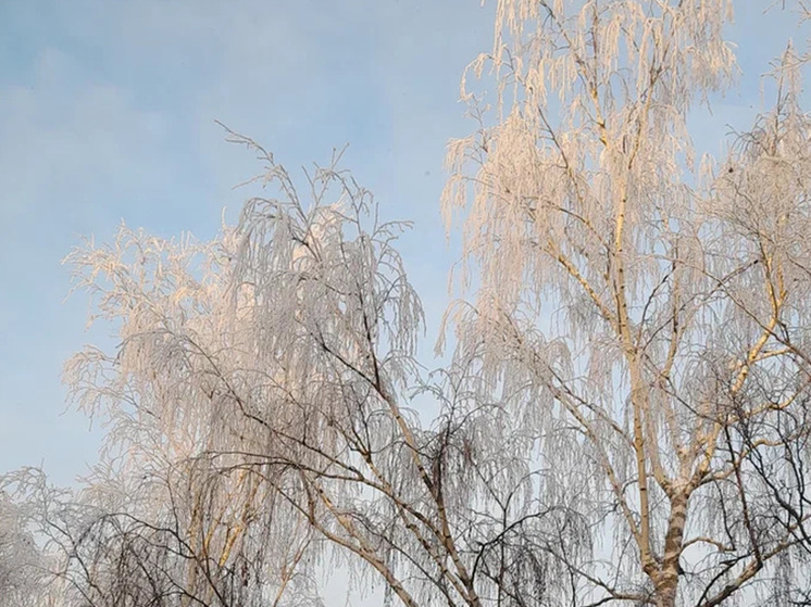 8 января аномальные морозы в Ивановской области начнут отступать