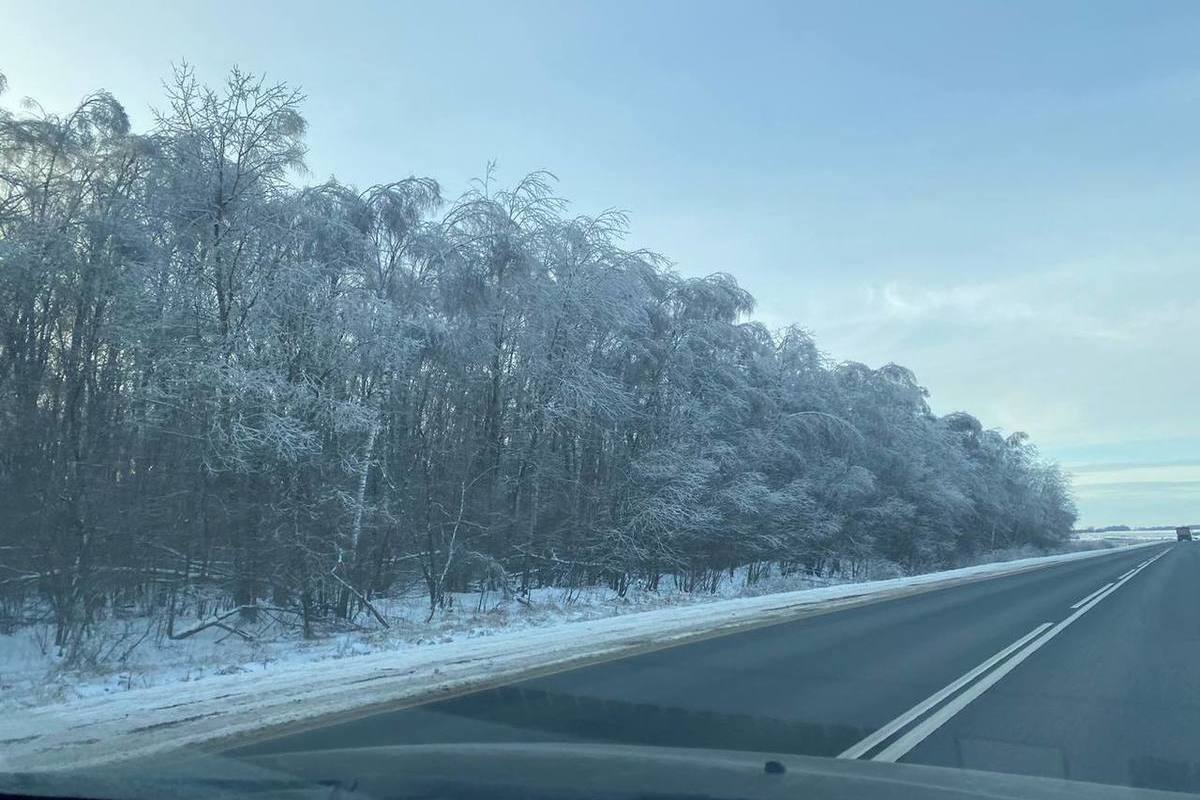 Изморозь и снег ожидается в Ленобласти в ночь на 8 января