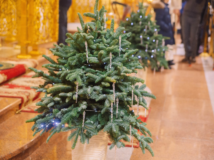 Празднование Рождества-2024 продолжается до 13 января