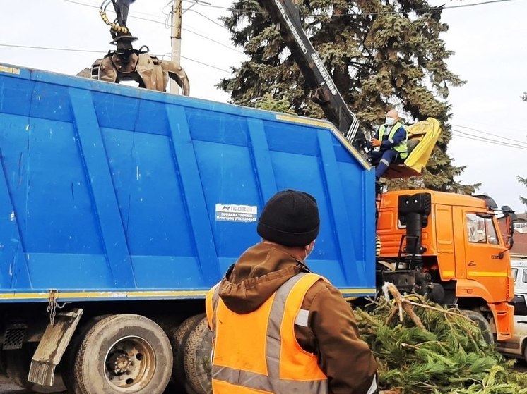 Правила утилизации новогодних ёлок разъяснили коммунальщики Ставрополья