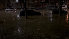 Западную окраину Киева затопило нечистотами: видео ЧП