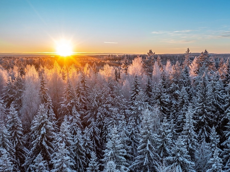 Фотограф Карелии запечатлел в мороз суровую красоту природы