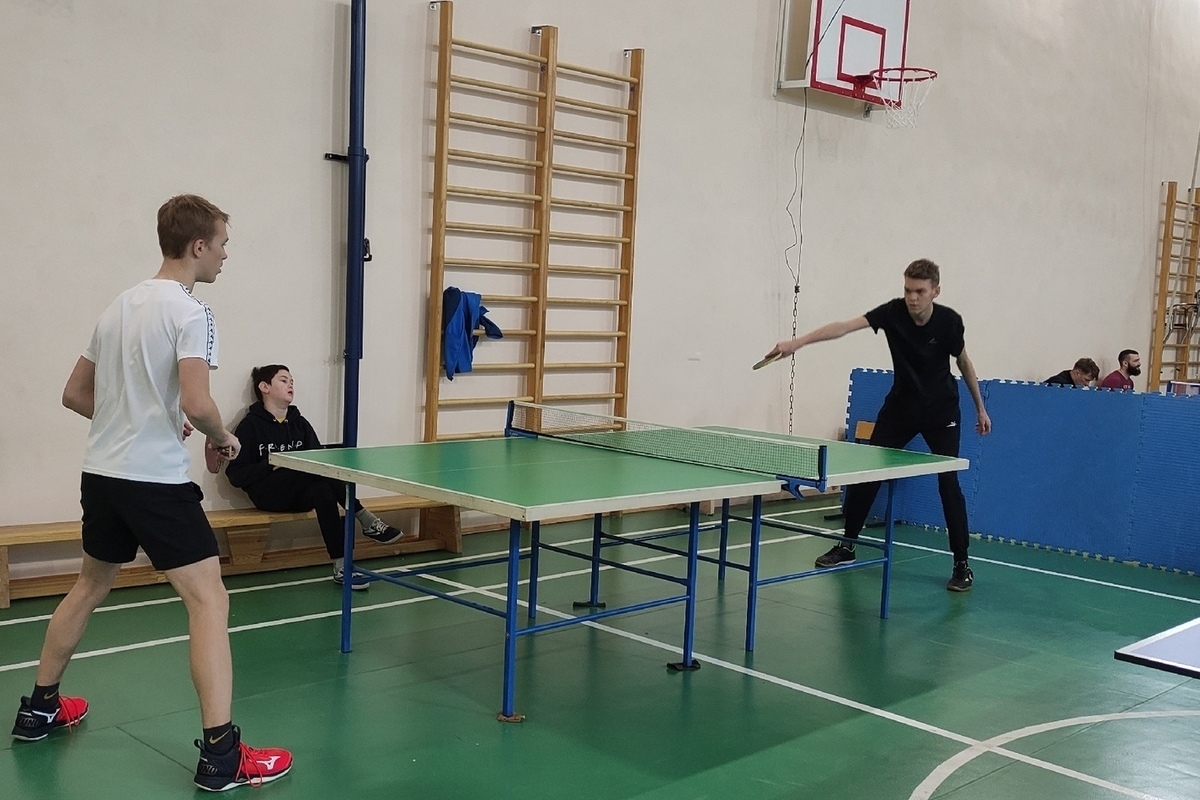 Table tennis fans had a fun weekend in the Kholmogory district