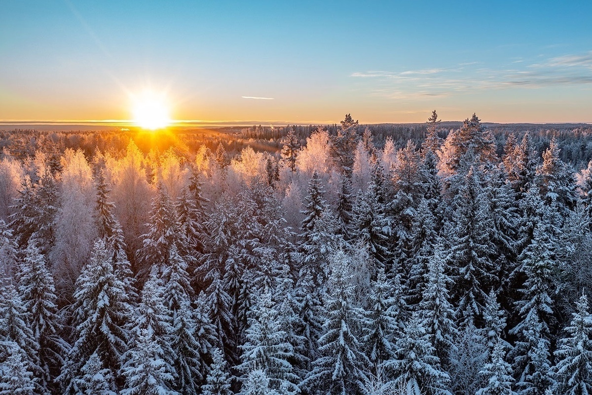 Красота природы аргументы