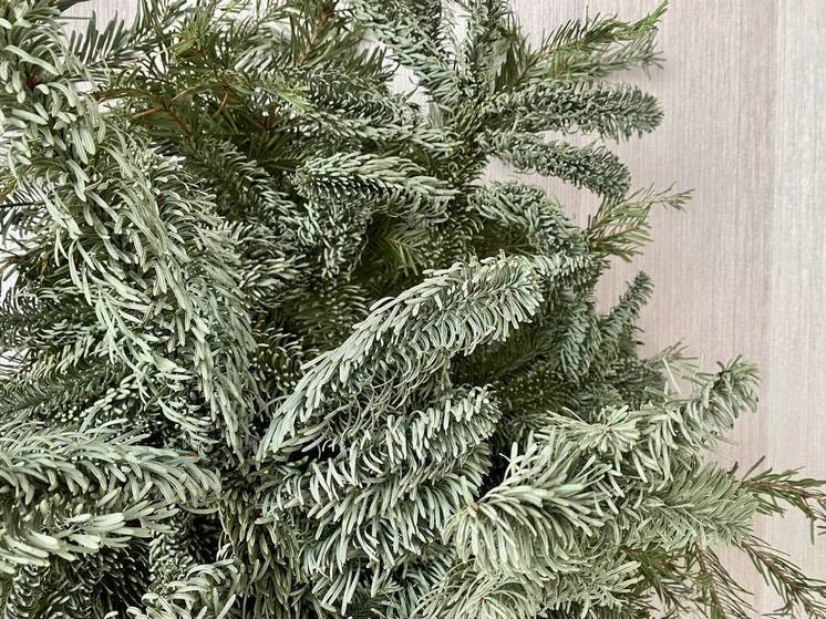 Белгородцам рассказали о правильной утилизации новогодних елок