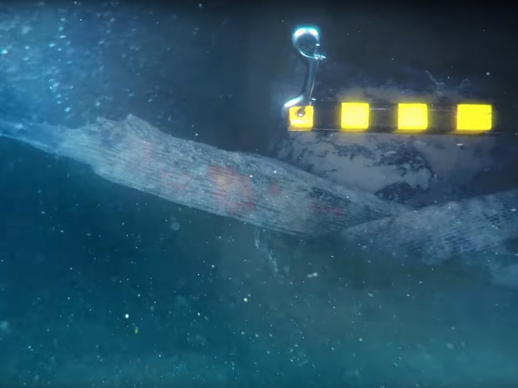 Исследования длились два десятилетия