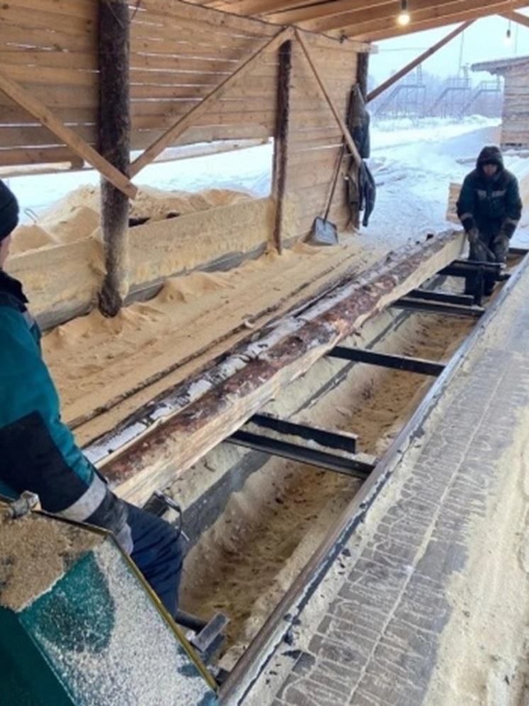 Курганские силовики провели рейд по нелегальным мигрантам