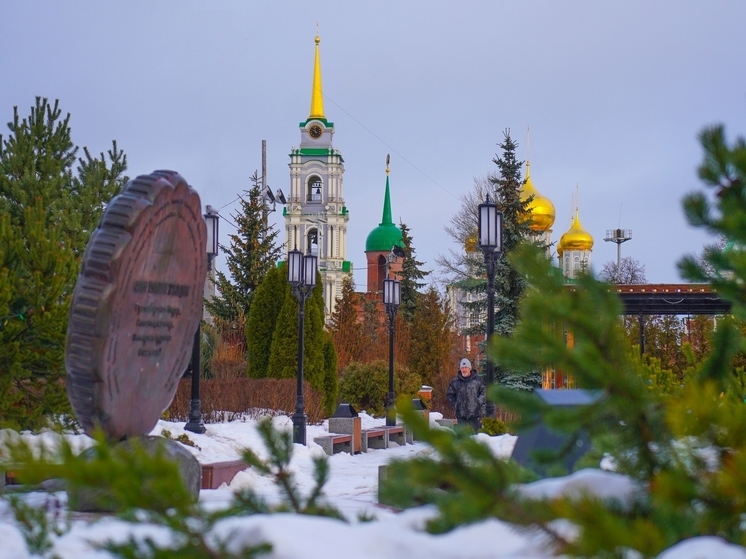 В Тульской области потеплеет 11 января