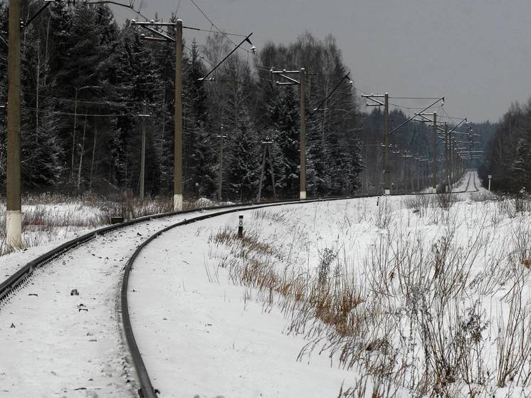 В Подмосковье задержали школьников за поджог на железной дороге