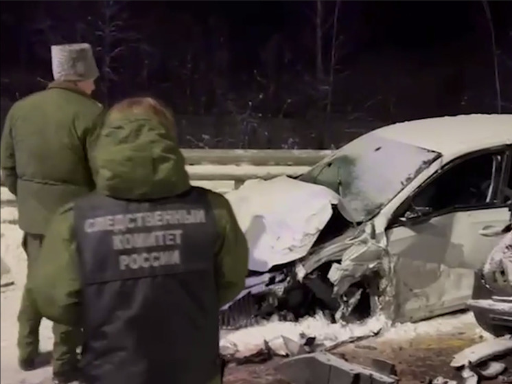 СК возбудил уголовное дело по факту массовой аварии в Новгородской области