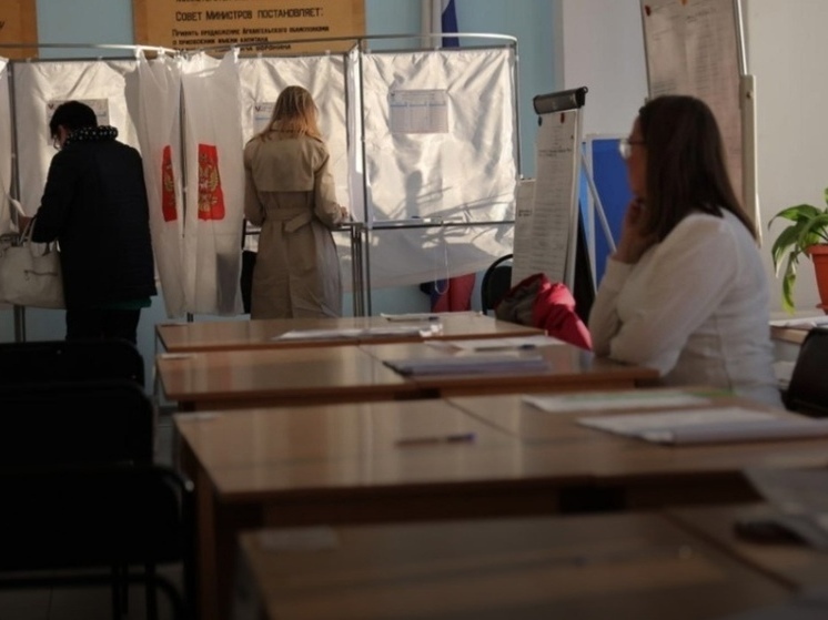 За открытостью президентских выборов проследят наблюдатели