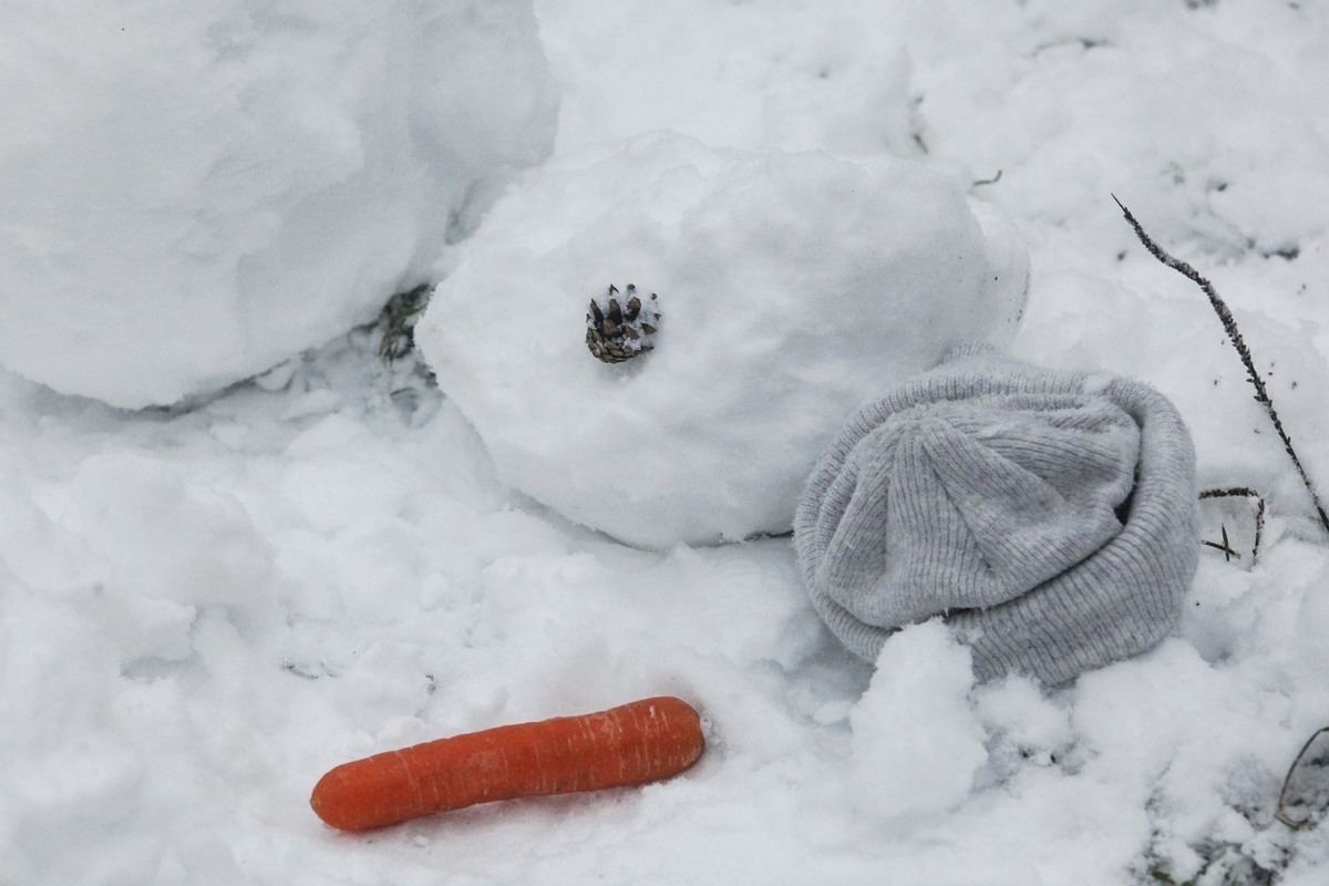Россиянка пожаловалась на кучу снега перед домом и была избита