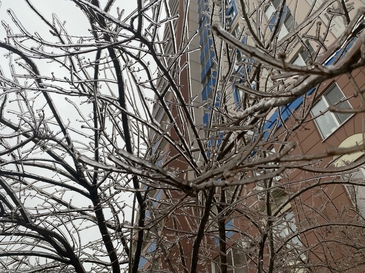 На Дону в первую рабочую неделю года будет морозная погода