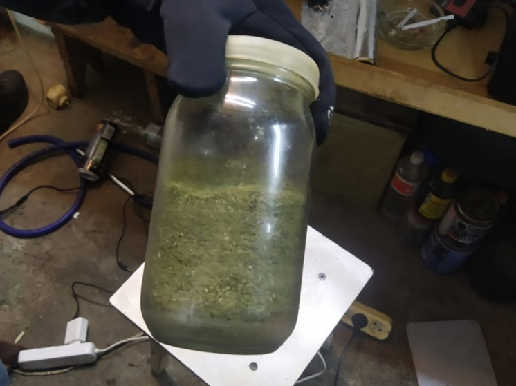 У жителя Ливенского района нашли марихуану в крупном размере