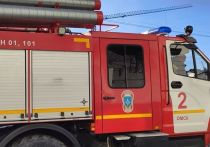 В первую неделю 2024 года на пожарах погибли пятеро жителей Омской области, еще двое пострадали