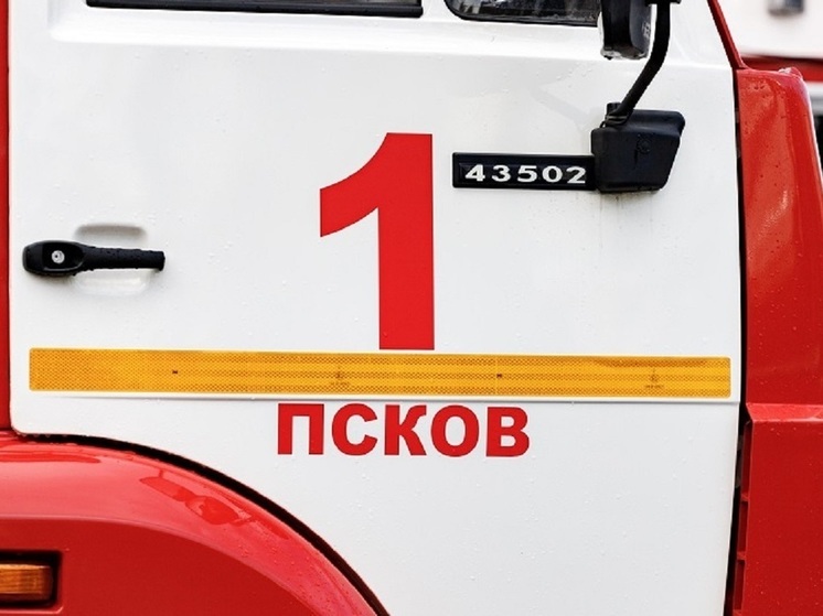 75 человек погибли на пожарах в Псковской области за год
