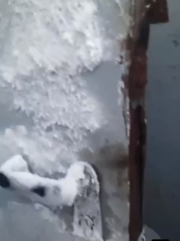 Дом в Лобне третий день заливает водой на глазах коммунальщиков