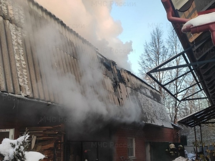 За праздничные дни в Курской области произошло 30 пожаров