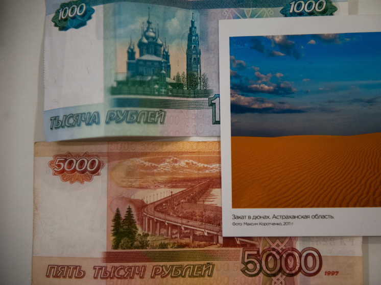 В Астрахани похитили социальные пособия у сироты