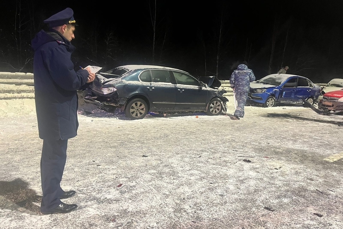 В СКР раскрыли подробности массового ДТП в Новгородской области - МК  Великий Новгород