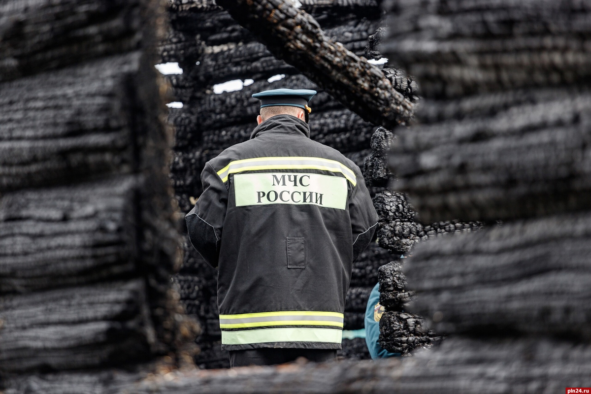 353 здания и 22 автомобиля уничтожили пожары в Псковской области