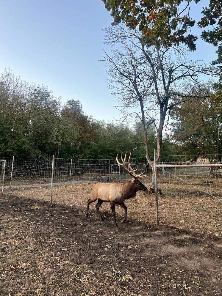 Комплексное развитие сельских территорий - одна из важнейших программ для региона
