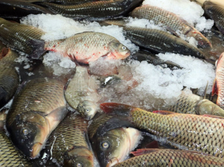 Новосибирская область отправила озерную рыбу в Китай впервые за четыре года