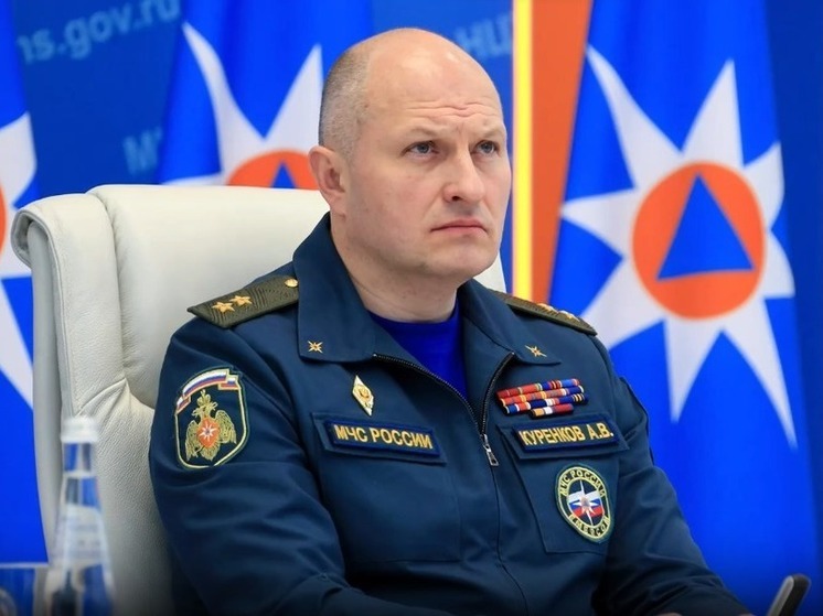 Глава МЧС России проконтролировал ремонт электросетей на Херсонщине