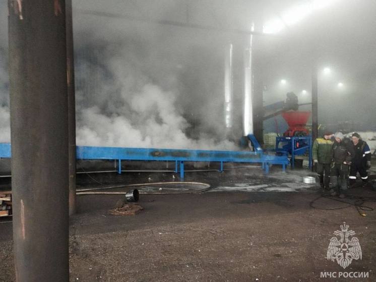 В Гвардейске произошел пожар на пилораме