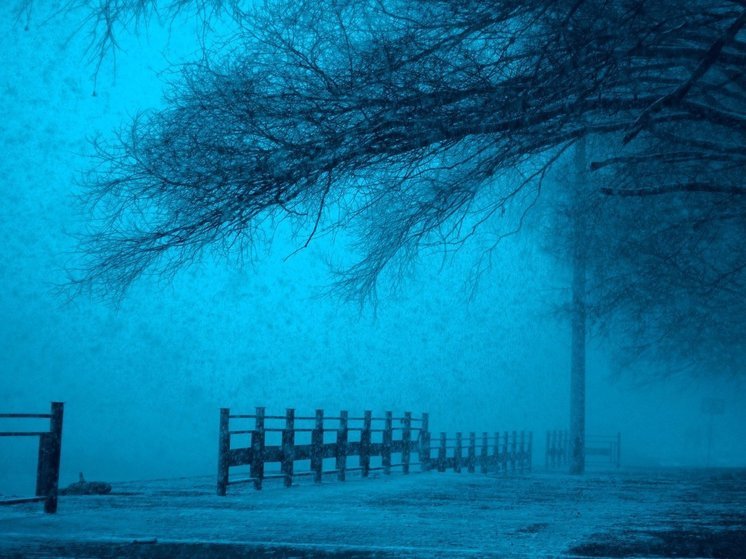 Синоптики 10 января предсказывают в Смоленске потепление