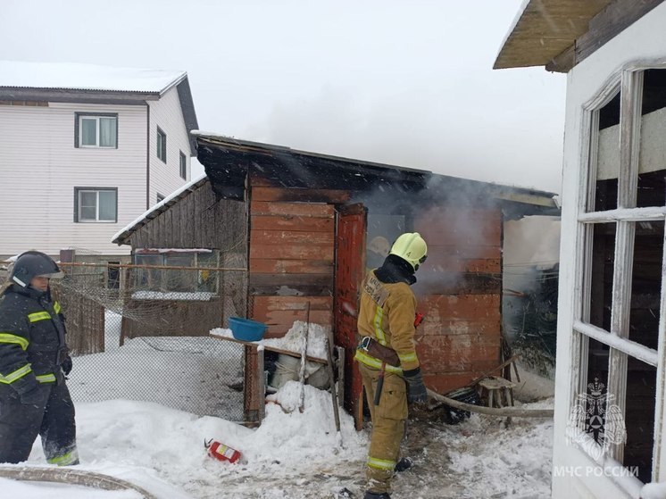 Пожарные спасли 15 птиц из горящей хозяйственной постройки в Новгородском районе