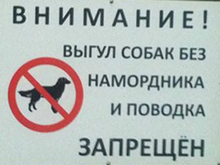 В Ярославле запретят выгуливать собак без намордника и поводка
