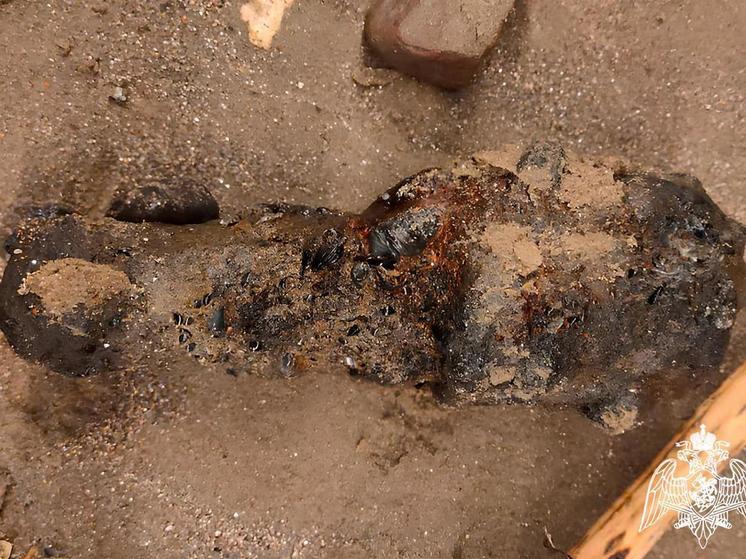 На берегу моря в Анапе нашли боеприпас времен ВОВ