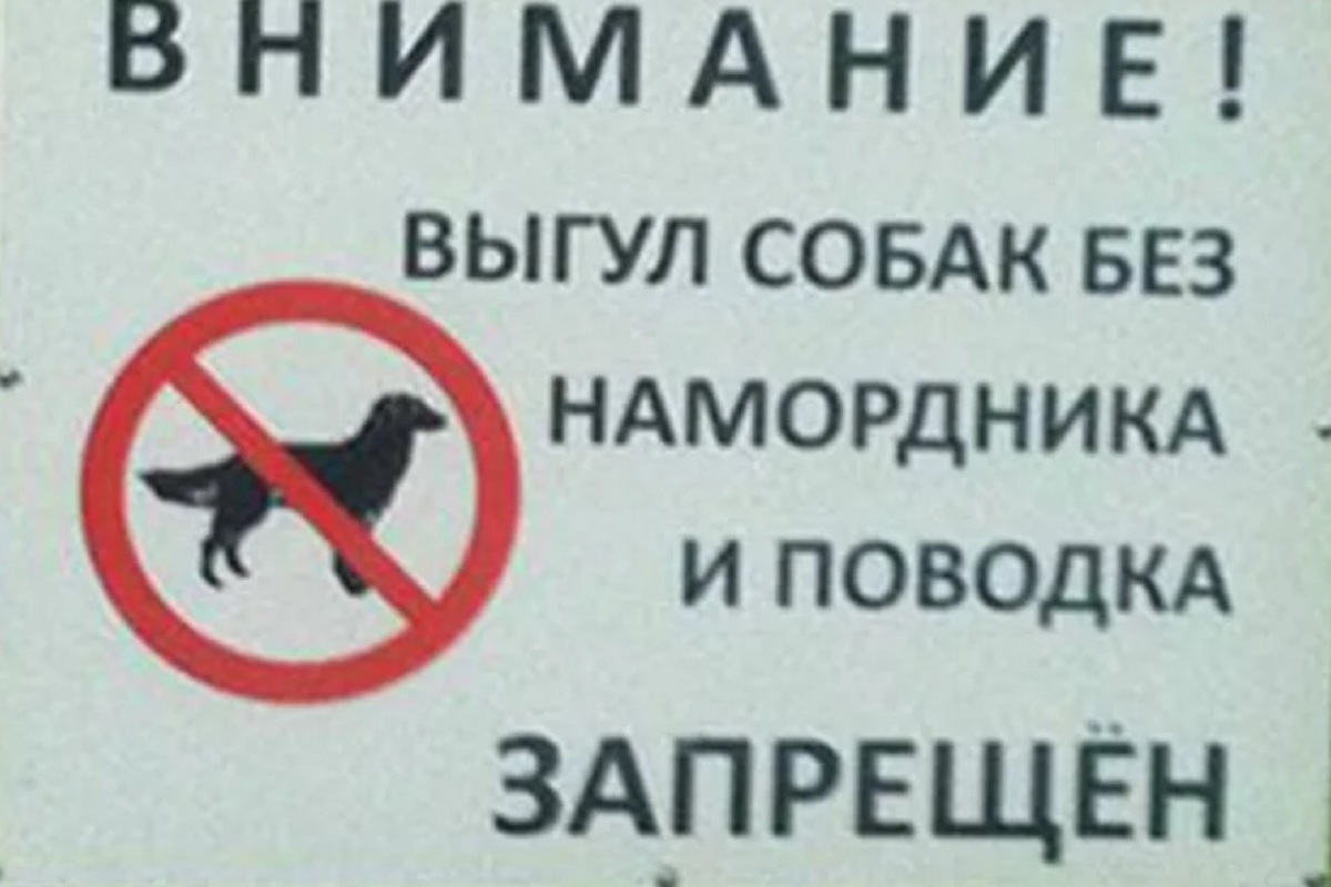 В Ярославле запретят выгуливать собак без намордника и поводка
