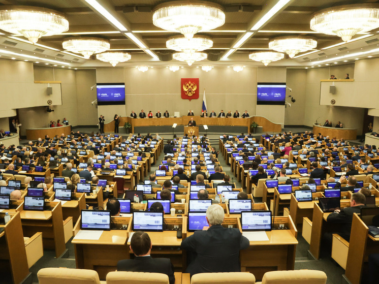 Депутат Туров: в Госдуме готовы рассмотреть расширение списка оснований для лишения гражданства