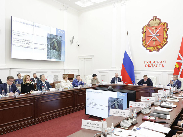 Дюмин поручил за 7 дней устранить все нарушения в районах Тульской области