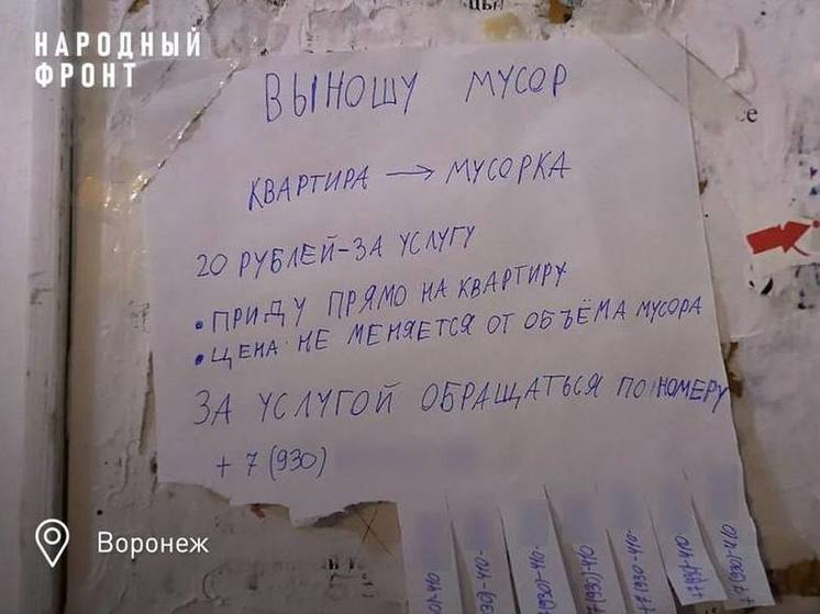 В Воронеже дети открыли бизнес по выносу мусора из квартир в период морозов