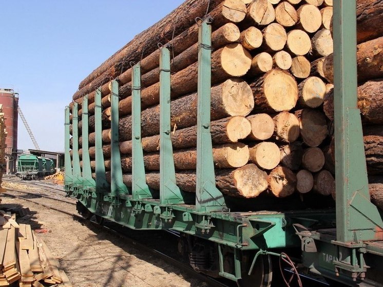 Иркутянина и иностранца будут судить в Приангарье за контрабанду леса на 61 млн
