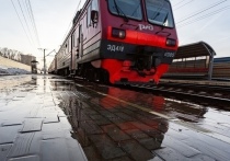 Семимесячная девочка скончалась в поезде Москва-Чита