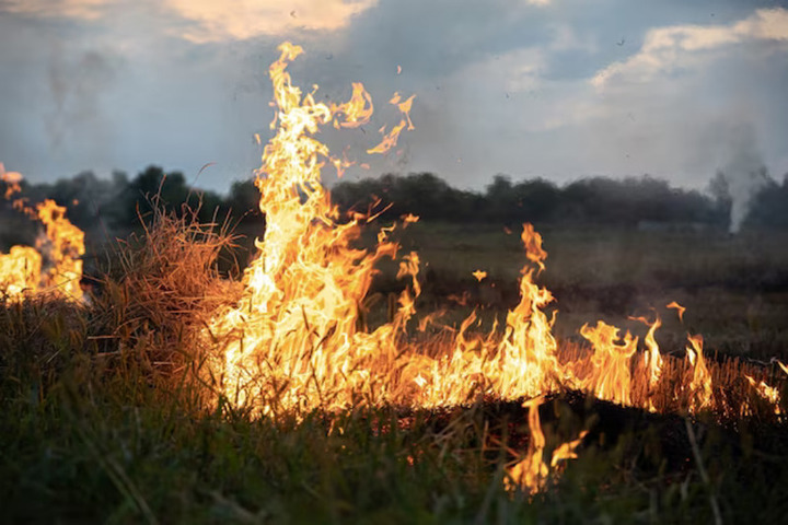 В Пензенской области готовятся к грядущему пожароопасному сезону